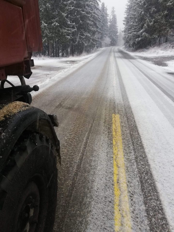 FOTO S-a întors iarna la Suceava și Neamț!