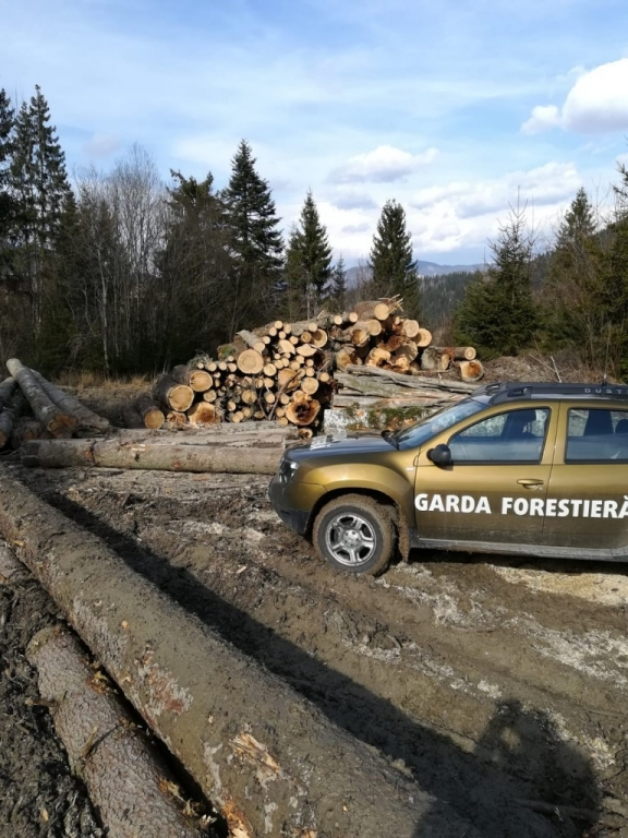 Ample percheziţii DGA în Botoşani, la funcţionari care luau mită pentru permise