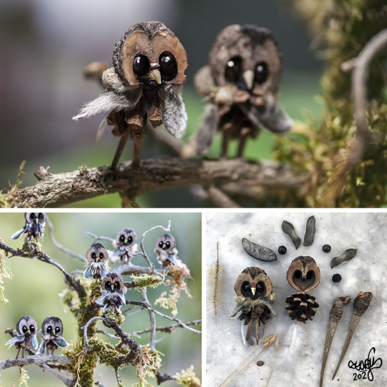 GALERIE FOTO - Figurine create din plante
