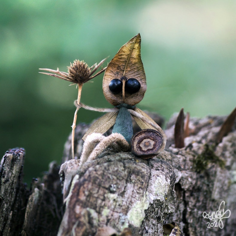 GALERIE FOTO - Figurine create din plante
