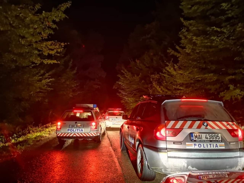 Material lemnos confiscat de polițiști