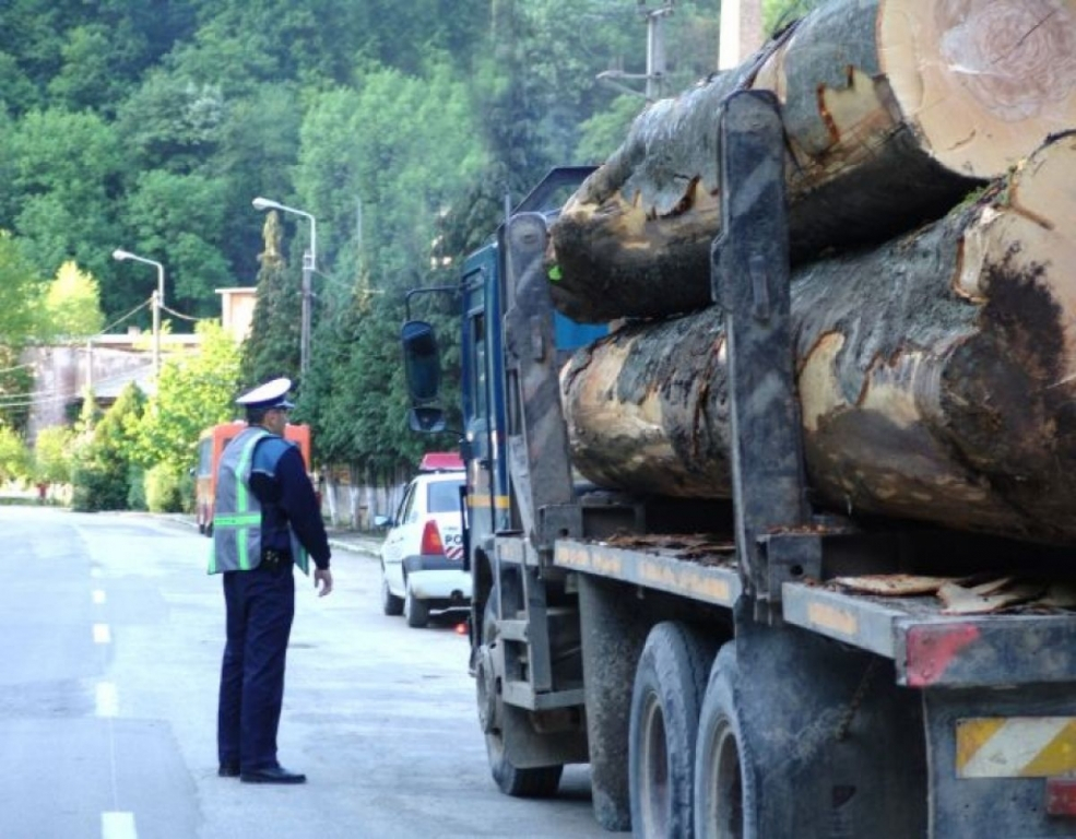   Afaceri necurate cu lemn, în două ocoale silvice din Suceava