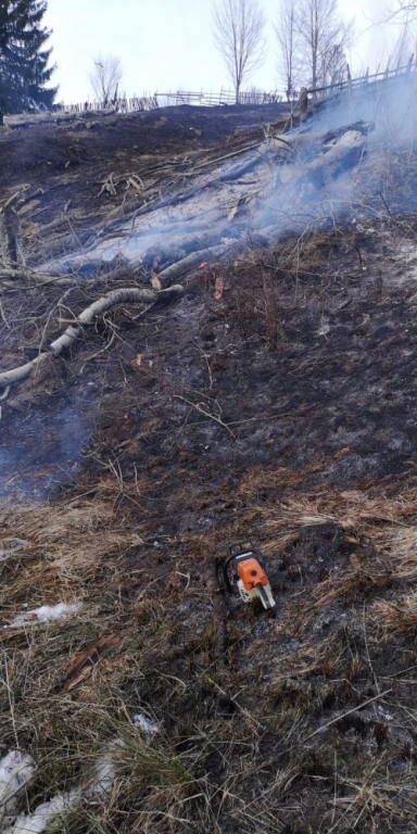 Incendii la Neamţ