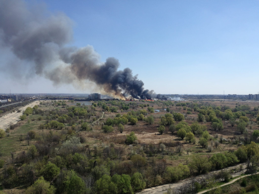 Arde Parcul Natural Văcărești. 10.000 de metri pătrați de vegetație sunt în flăcări