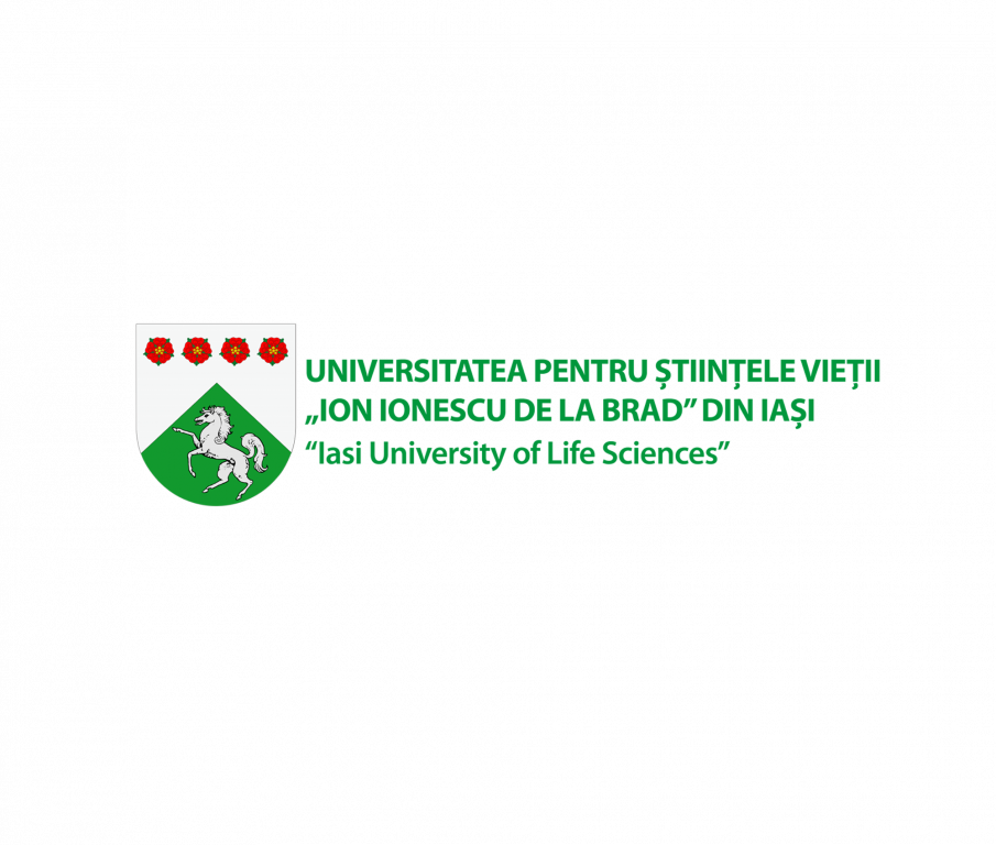 Workshop cu tehnici de învățare rapide și eficiente pentru studenții USV Iași 